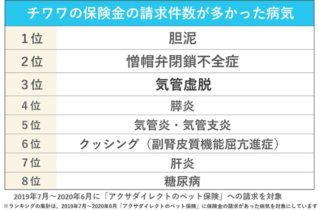 チワワの保険金の請求件数が多かった病気 1位胆泥/2位僧帽弁閉鎖不全症/3位気管虚脱/4位膵炎/5位気管炎・気管支炎/6位クッシング(副腎皮質機能屈亢進症)/7位肝炎/8位糖尿病 2019年7月〜2020年6月に「アクサダイレクトのペット保険」への請求を対象 ※ランキングの集計は、2019年7月〜2020年6月「アクサダイレクトのペット保険」に保険金の請求があった病気を対象にしています